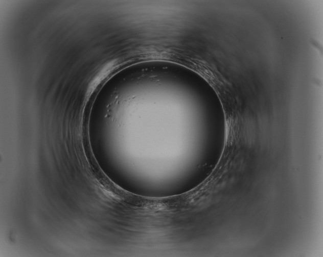 X0000097750195200803071256