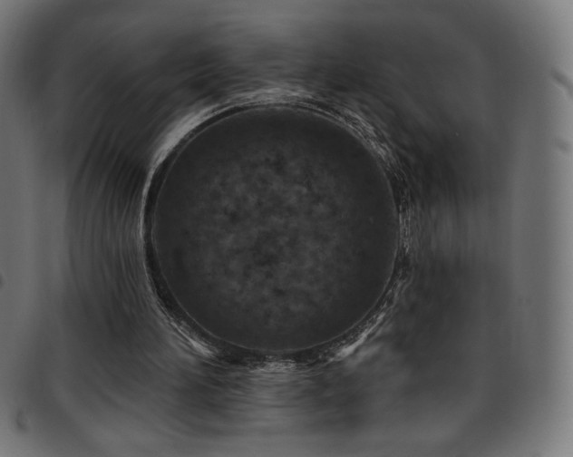 X0000097750196200803071256