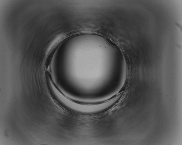 X0000097750197200803071256