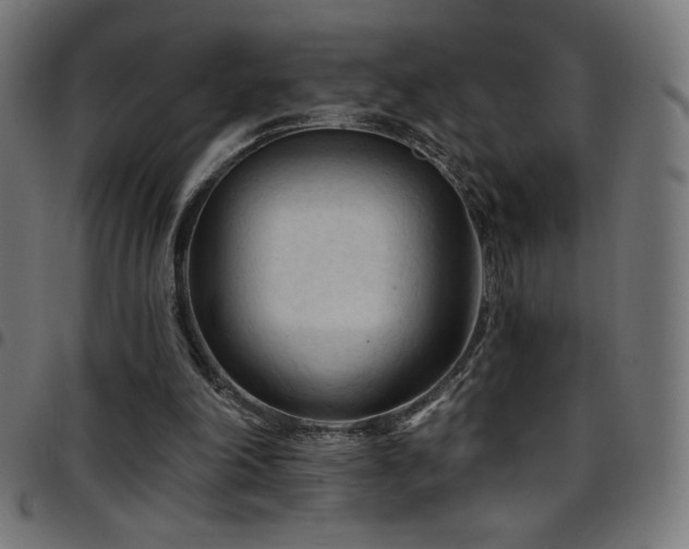 X0000097750198200803071256