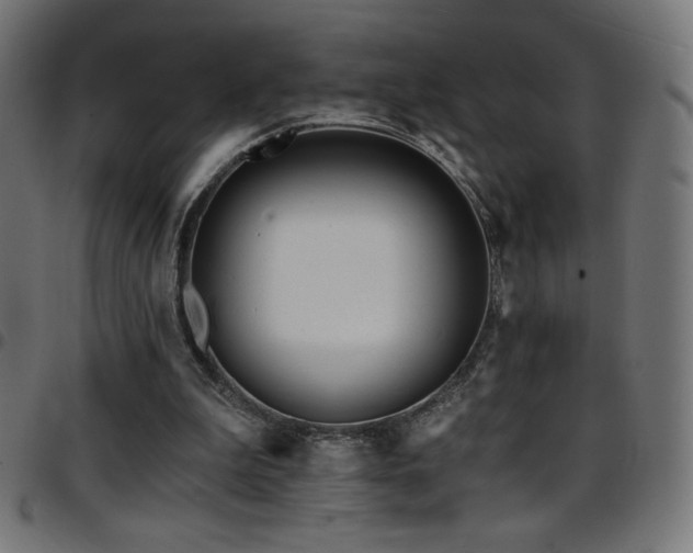 X0000097750199200803071256