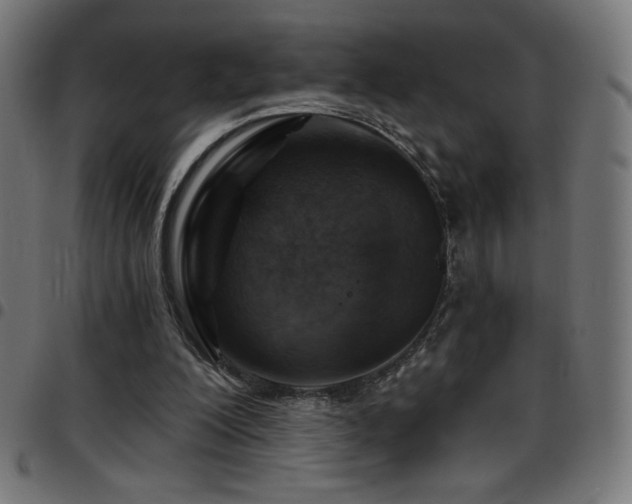 X0000097750200200803071256