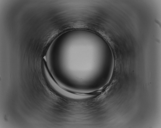 X0000097750201200803071256