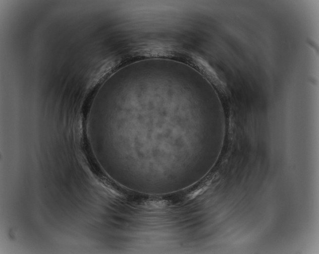 X0000097750202200803071256