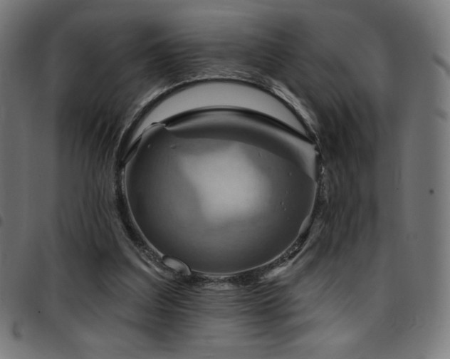 X0000097750203200803071256