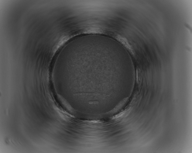 X0000097750204200803071256