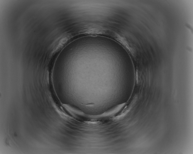 X0000097750205200803071256