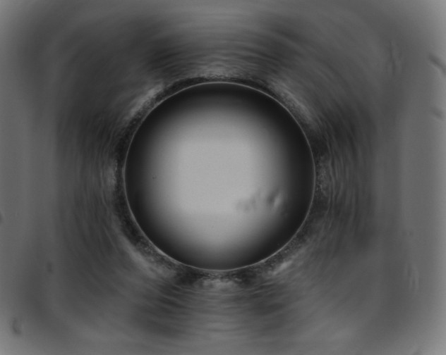 X0000097750208200803071256