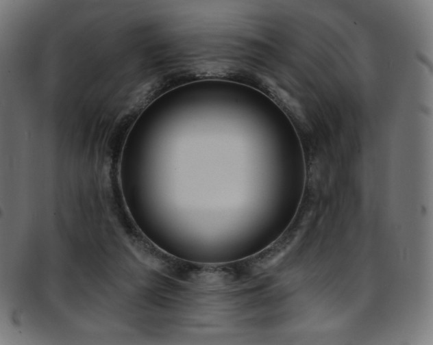 X0000097750209200803071256