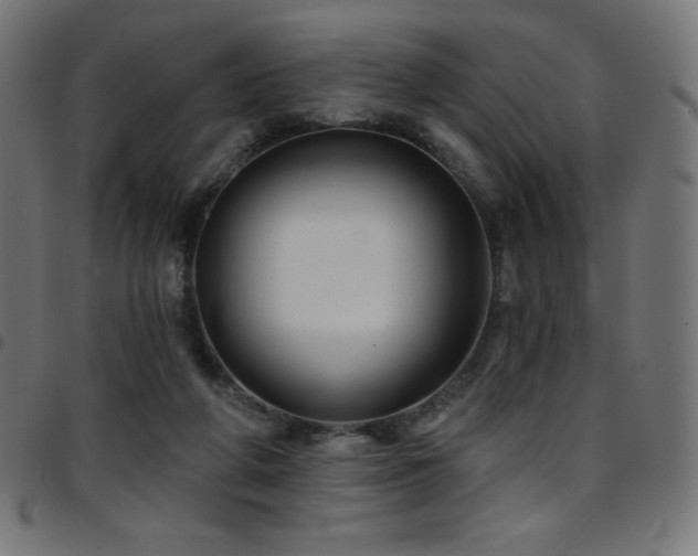 X0000097750210200803071256