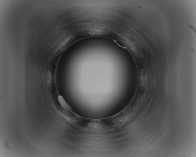 X0000097750211200803071256