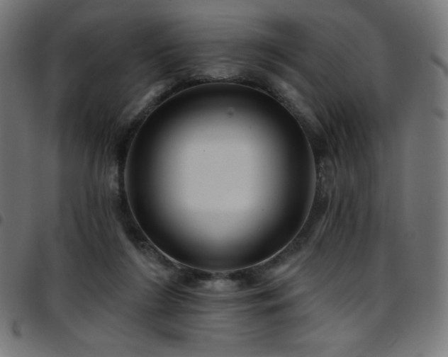 X0000097750212200803071256