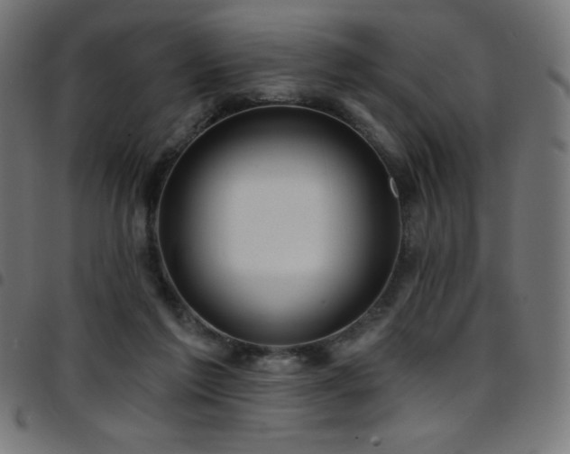 X0000097750213200803071256