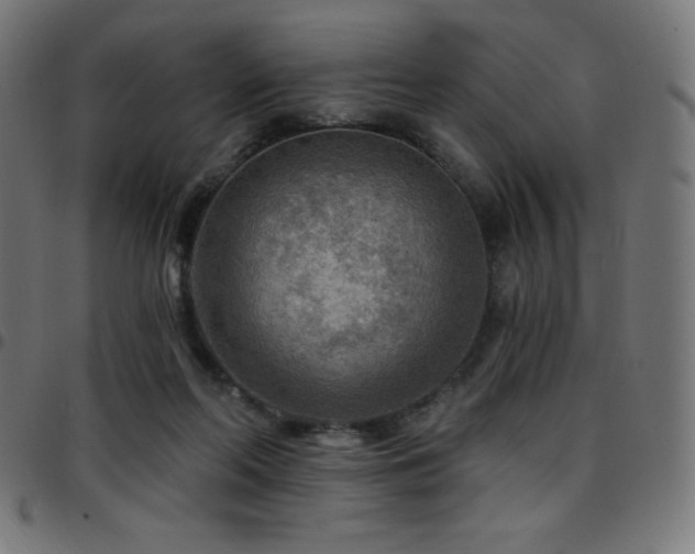 X0000097750214200803071256