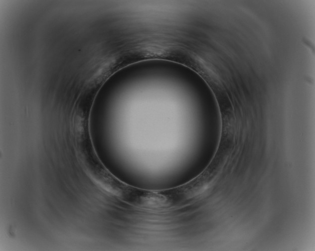 X0000097750215200803071256