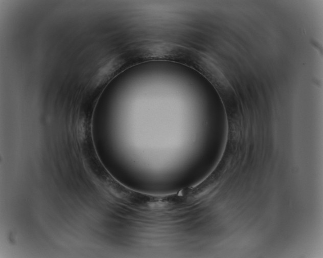 X0000097750216200803071256