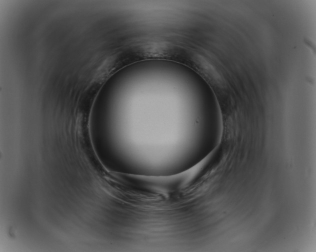 X0000097750217200803071256