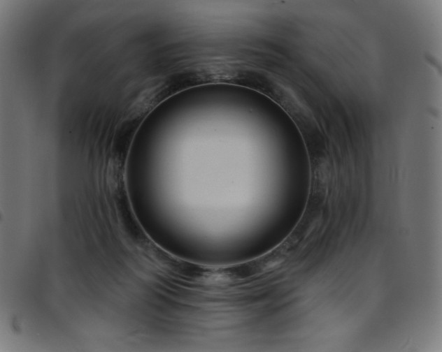 X0000097750218200803071256