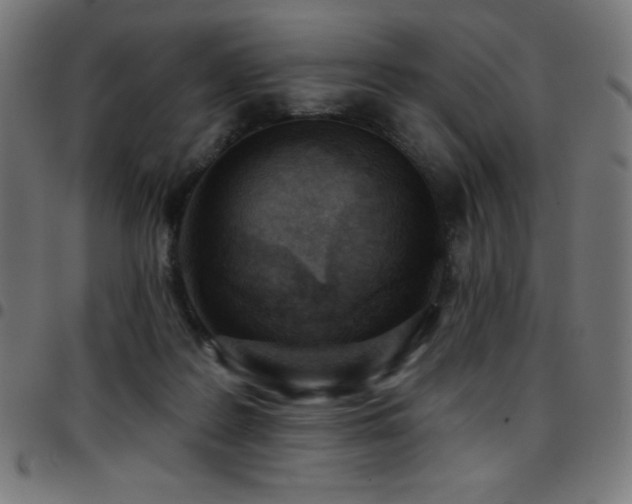 X0000097750219200803071256