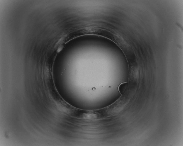 X0000097750220200803071256