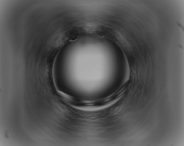 X0000097750221200803071256