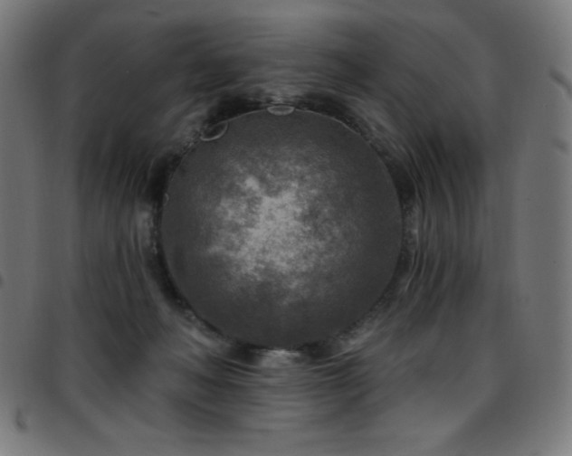 X0000097750222200803071256