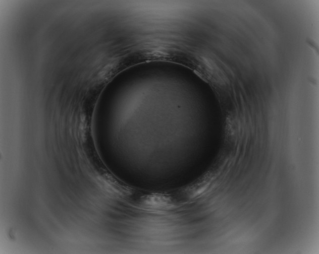 X0000097750223200803071256