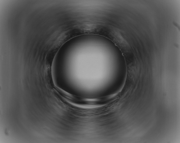 X0000097750225200803071256