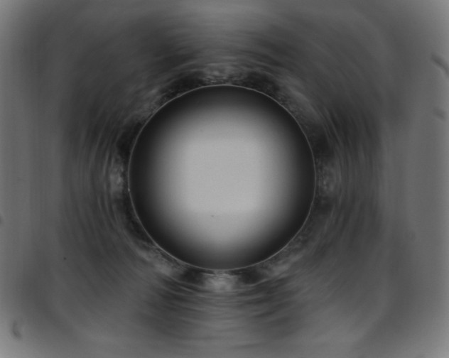 X0000097750226200803071256