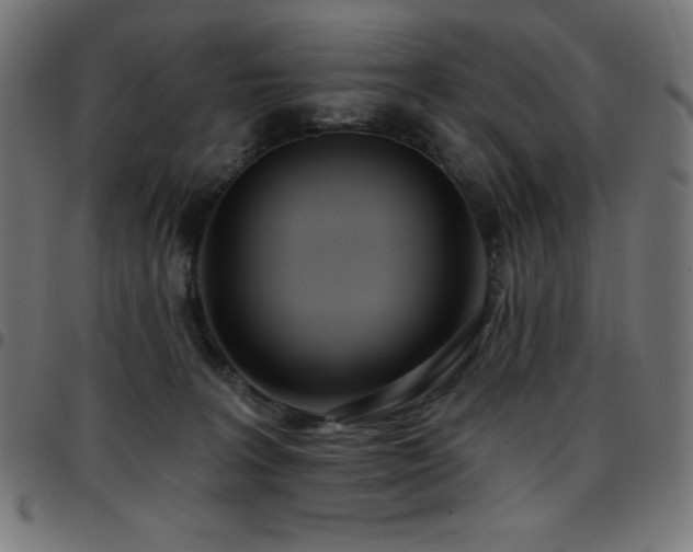 X0000097750227200803071256