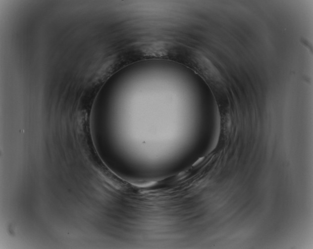 X0000097750229200803071256