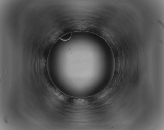 X0000097750230200803071255