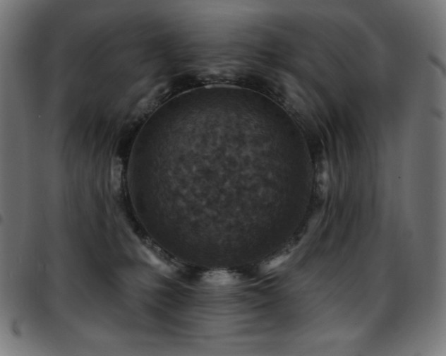 X0000097750231200803071255