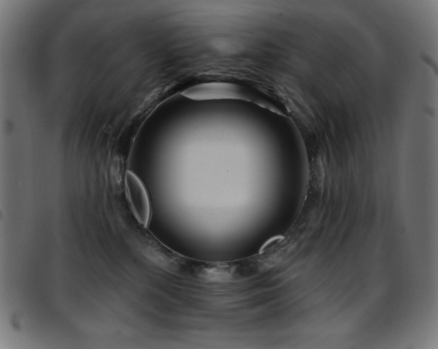 X0000097750232200803071255