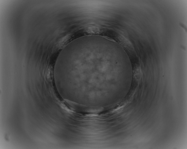 X0000097750233200803071255