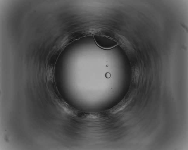 X0000097750236200803071255