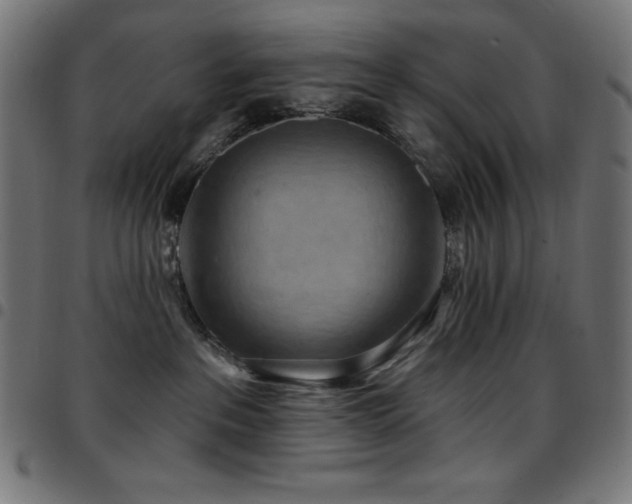 X0000097750237200803071255