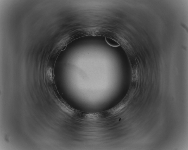 X0000097750238200803071255