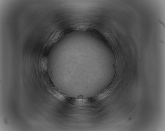 X0000097750240200803071255