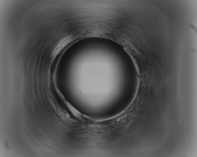 X0000097750242200803071255