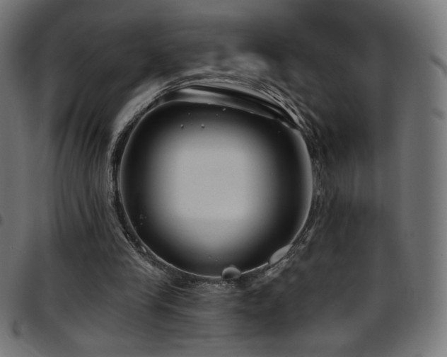 X0000097750245200803071255