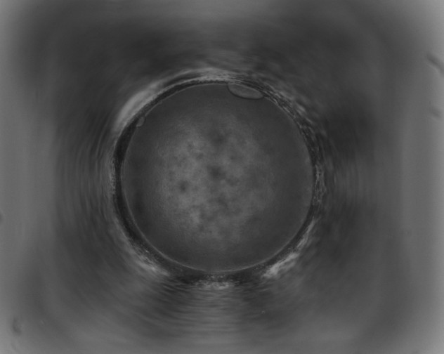 X0000097750247200803071255