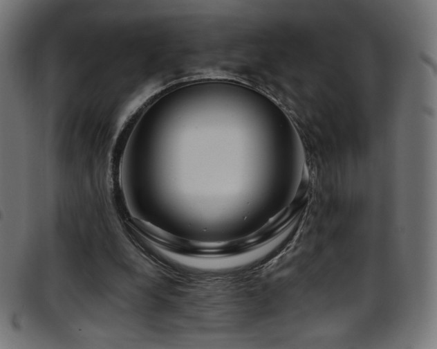 X0000097750248200803071255