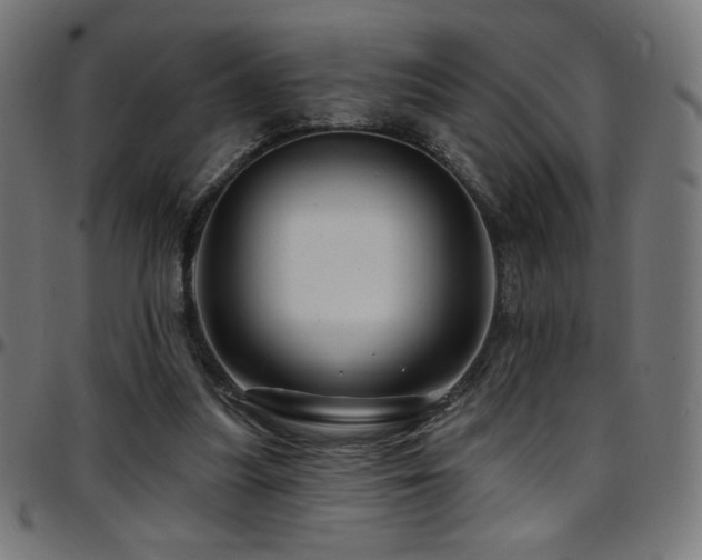 X0000097750251200803071255