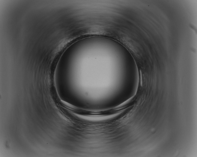 X0000097750252200803071255