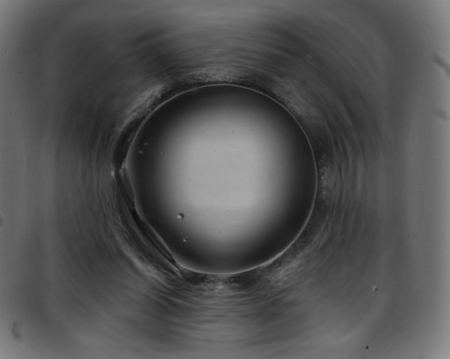X0000097750254200803071255