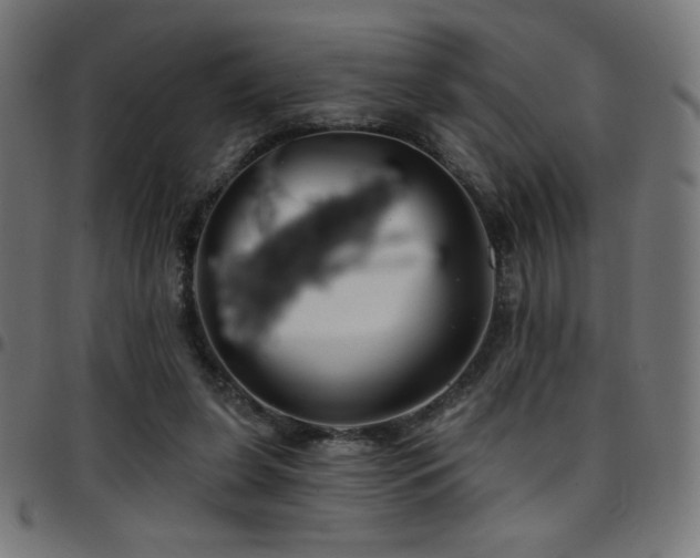 X0000097750255200803071255