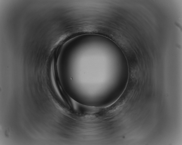 X0000097750256200803071255