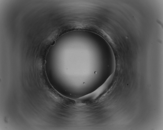 X0000097750257200803071255