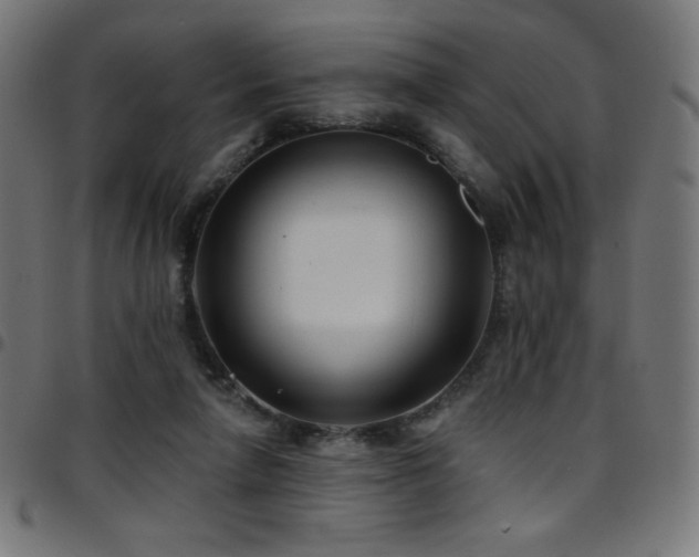 X0000097750258200803071255